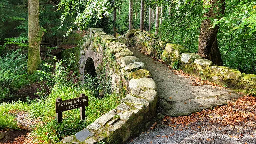 St Patrick’s Way: a route leading to the origins of Ireland’s most famous festival