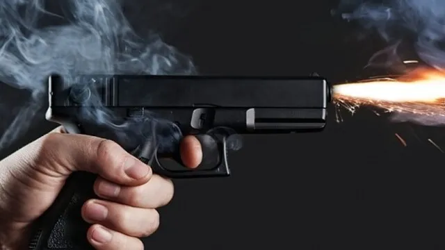 In the Kyiv region, a man shot his 11-year-old daughter and took his own life