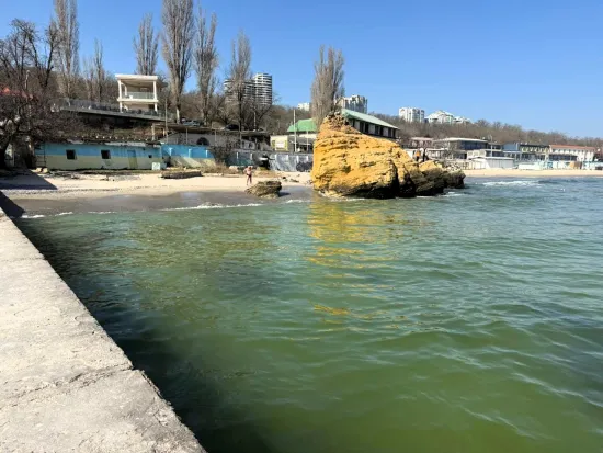 В Одесі море вкрилося жовтими плямами й пахне соняшниковою олією: в чому причина