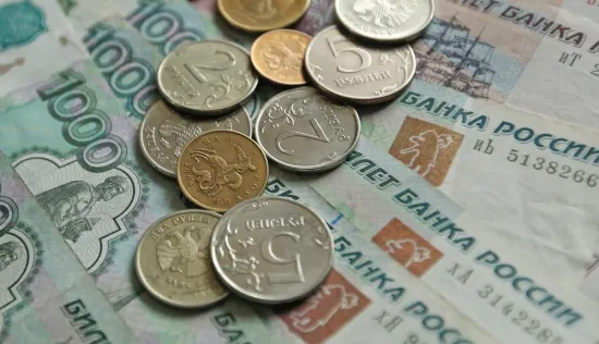 The Central Bank of the Russian Federation ended 2025 with a loss of nearly 185 billion roubles