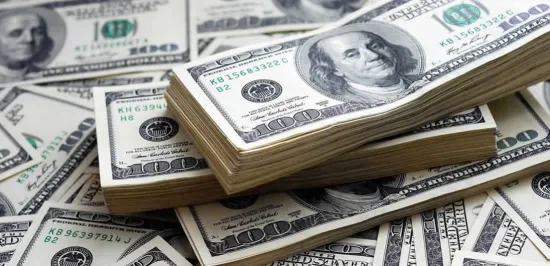 Нацбанк встановив рекорд із продажу валюти для порятунку гривні на фоні воєнних ризиків
