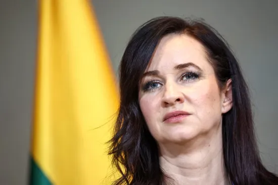 У Литві заявили, що дрон, який упав неподалік кордону з Білоруссю, прилетів з України