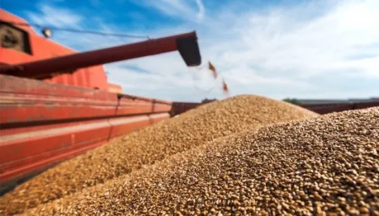 Turkish UN supplier buys stolen grain from occupied Mariupol — investigation