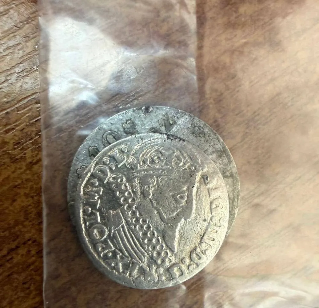 An attempt to smuggle over 200 antique coins to Poland has been foiled in Volyn