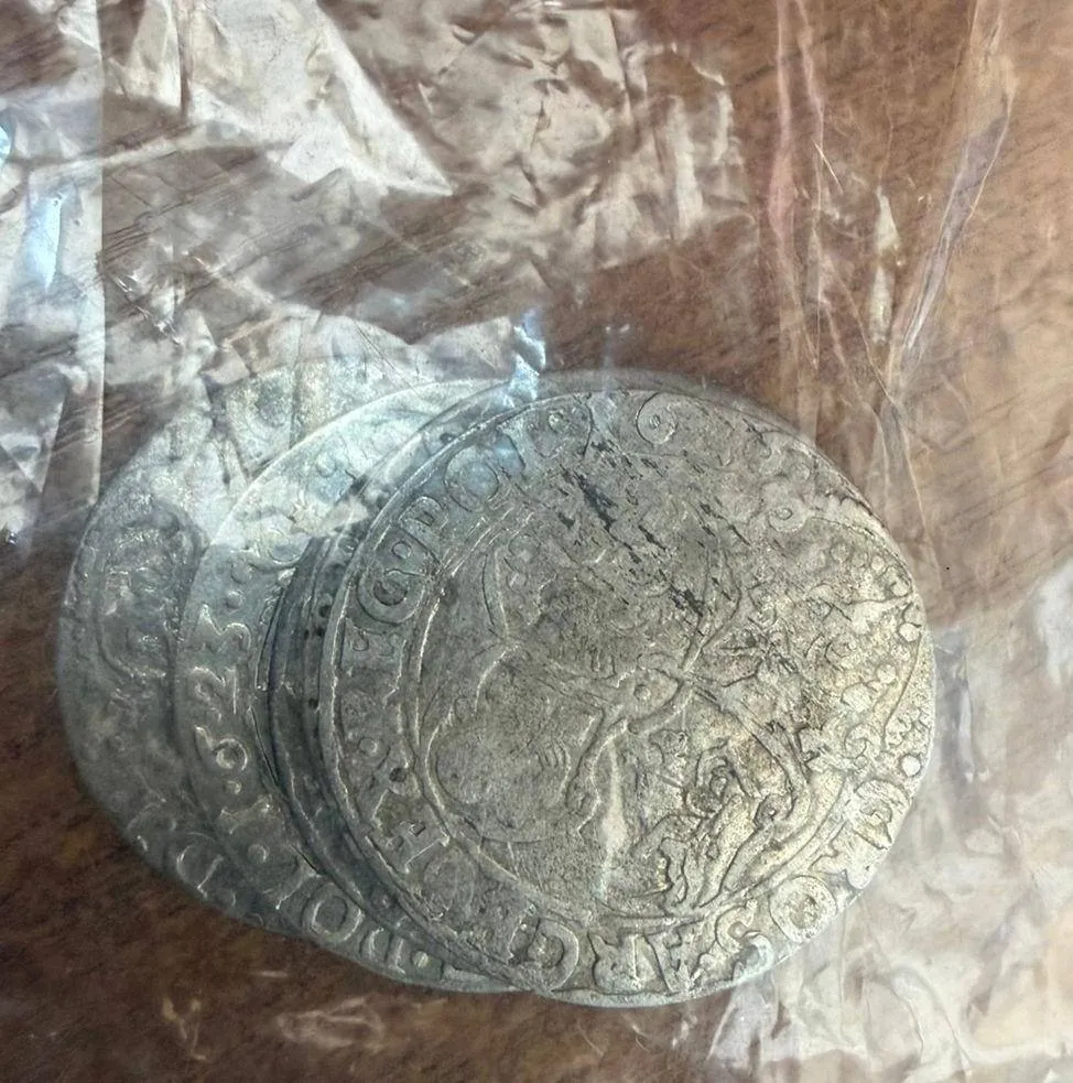 An attempt to smuggle over 200 antique coins to Poland has been foiled in Volyn