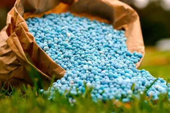 Power cuts have led to a reduction in fertiliser production in Ukraine
