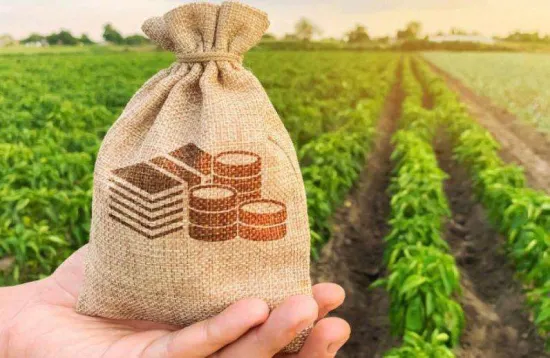 Millions for farmers: how the state will support farmers during the spring farming season