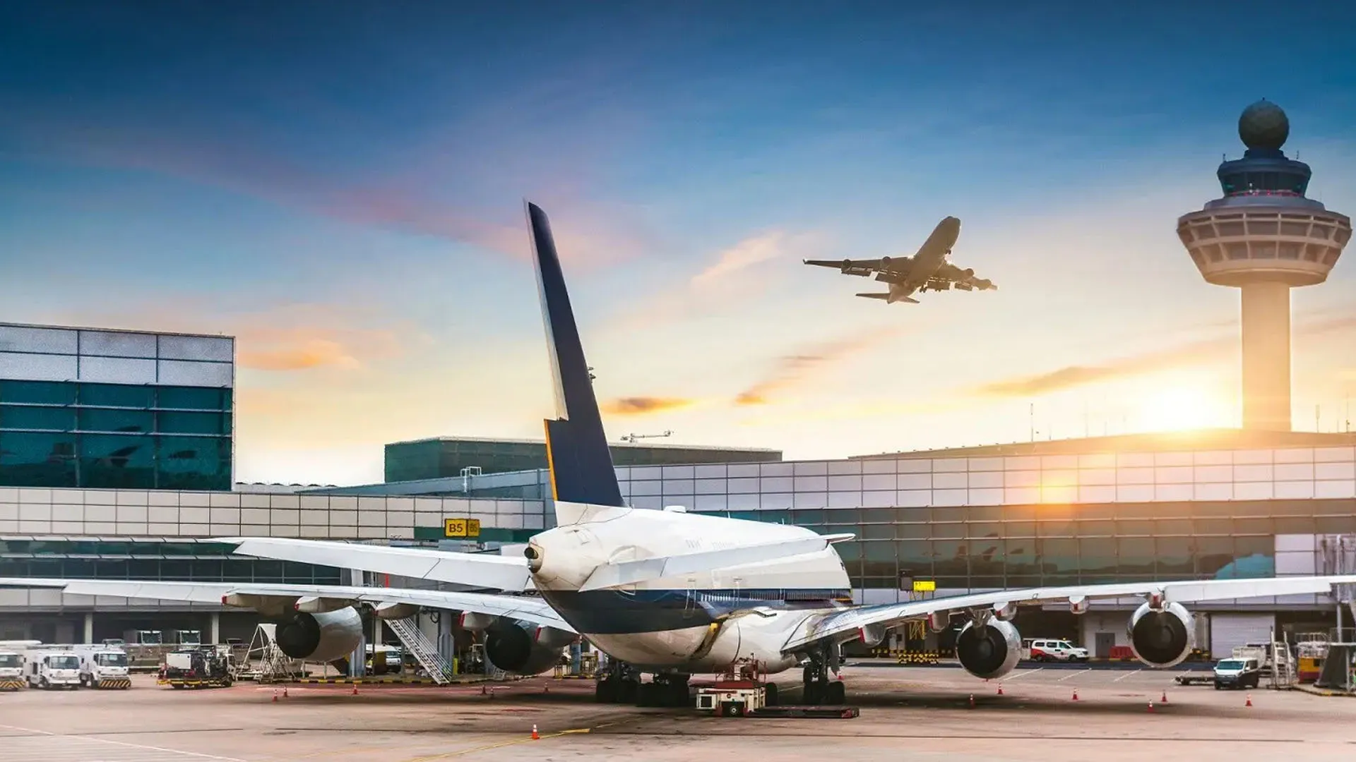 Palm Beach Airport in Florida is to be renamed in honour of Donald Trump