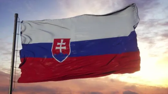 У Словаччині хочуть ввести “стан загрози” після падіння російського дрона