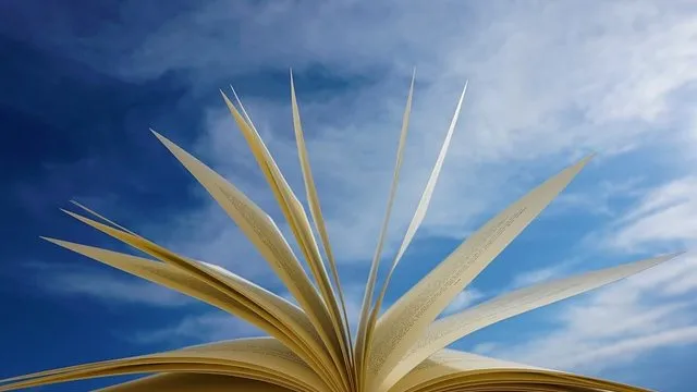 100 Ukrainian books will be translated worldwide under the Translate Ukraine 2026 programme