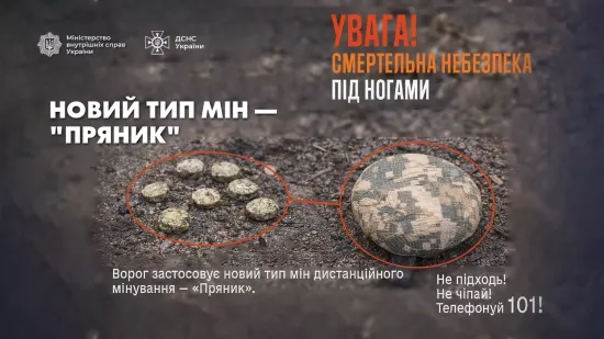МВС попереджає про новий тип мін, замаскованих під предмети місцевості