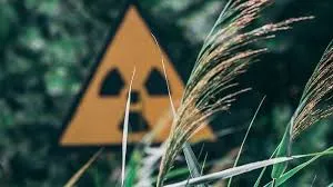 У Чорнобильській зоні понад п'ять років незаконно вирощують урожай, що становить ризик для людей — ОГП