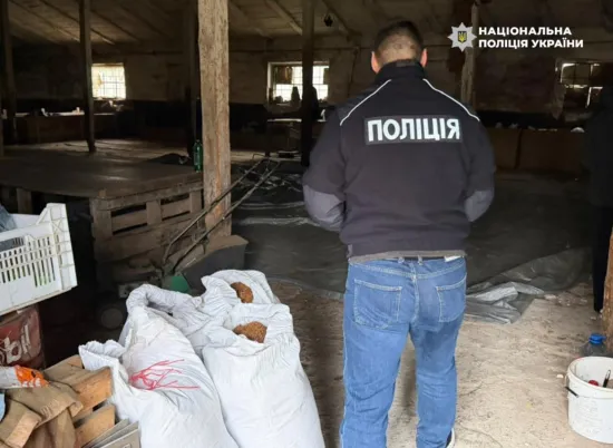 Правоохоронці викрили канал постачання тютюну з Закарпаття до підпільних цехів