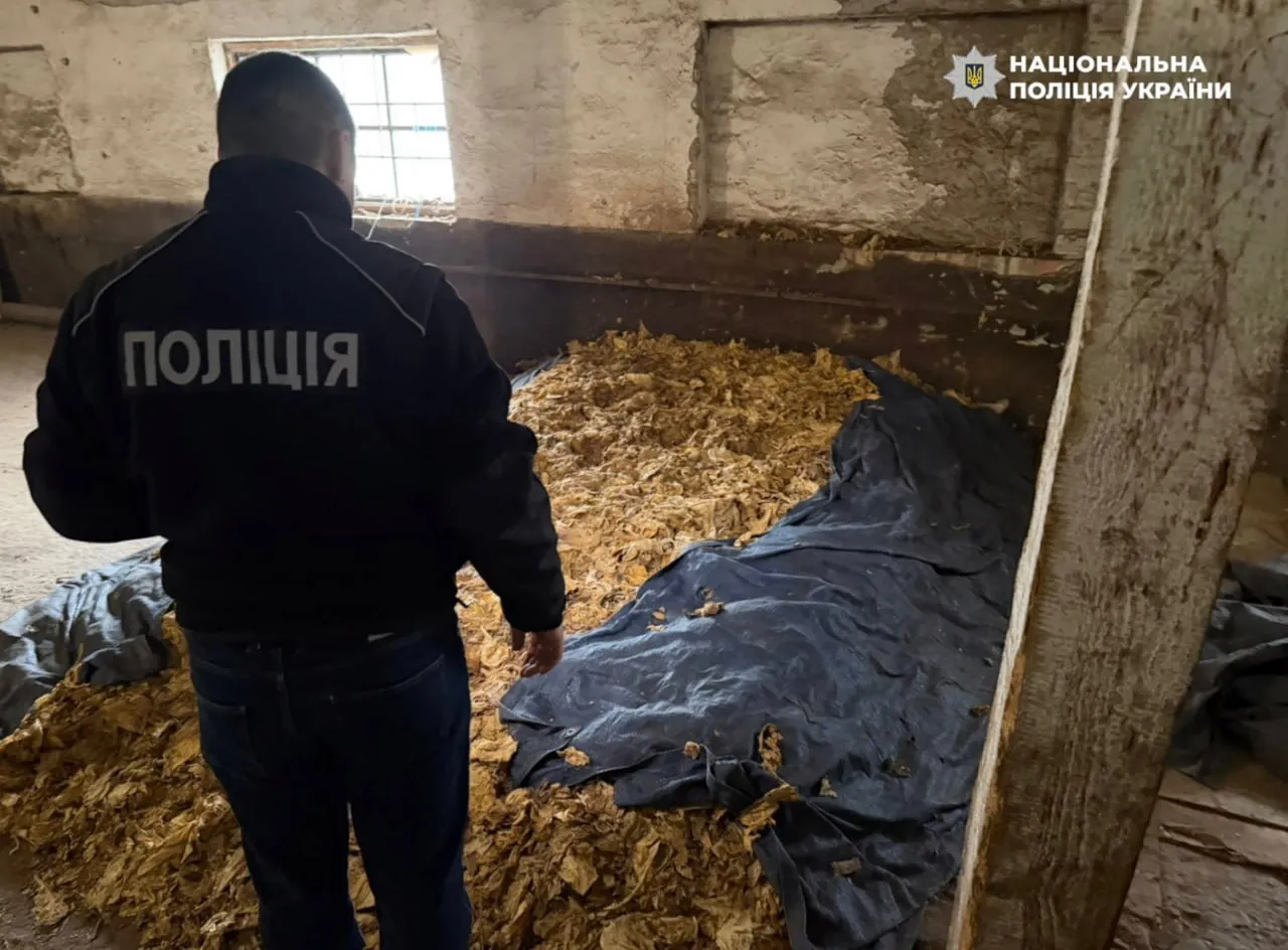 Правоохоронці викрили канал постачання тютюну з Закарпаття до підпільних цехів