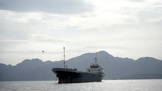 Iran has offered to allow ships to pass through the Omani section of the Strait of Hormuz without being attacked