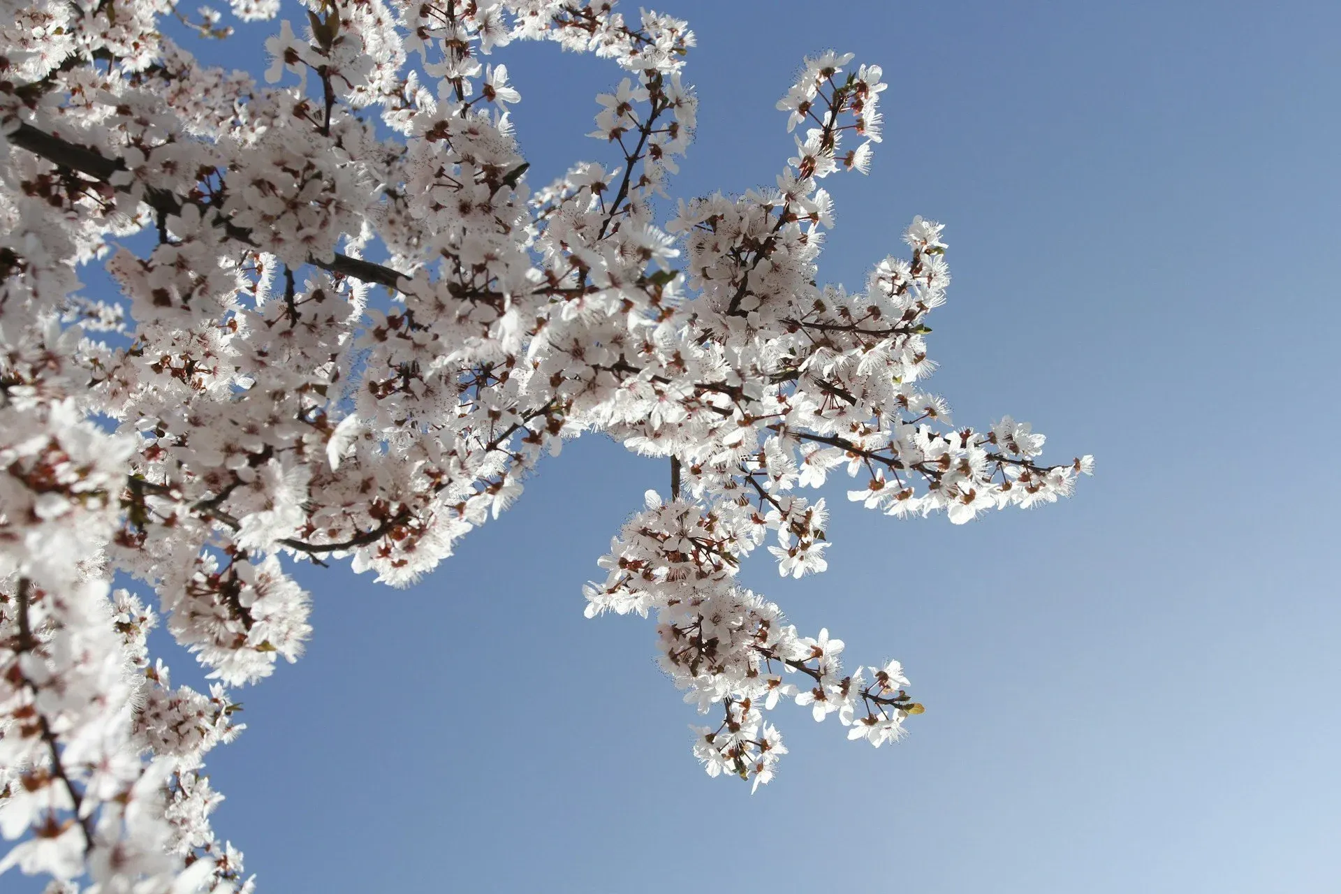 17 April 2026: which church holiday is it and what’s worth trying