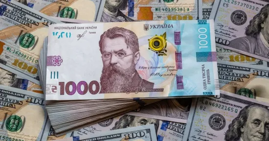 Грошей від МВФ залишилося до червня — прогноз бюджетного комітету