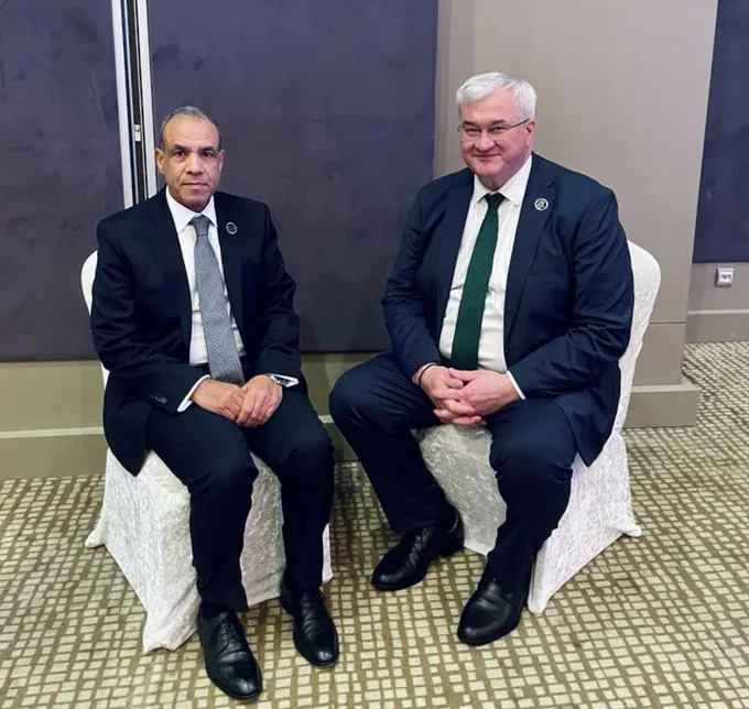 Ukraine and Egypt are strengthening ties: what the ministers agreed on