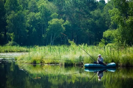 Fishing in May 2026: regulations, permitted sizes and fines