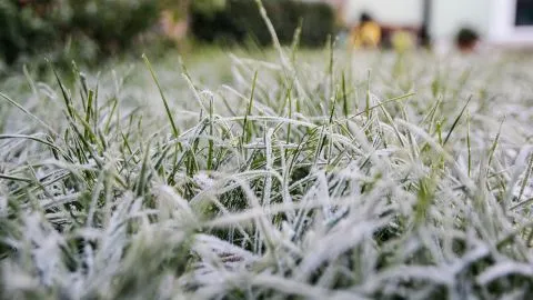 Ukraine is set to be hit by severe frosts: a Level II hazard warning has been issued