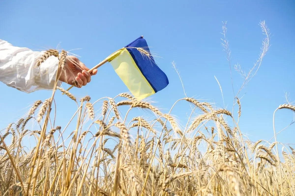 Every year, 300,000 more people die in Ukraine than are born