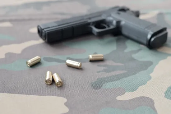Офіційний дозвіл на носіння зброї не може бути стовідсотковим запобіжником ні від психічного зриву, ні від ментальних проблем