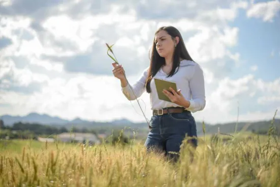A digital platform for farmers, AKIS, has been launched in Ukraine