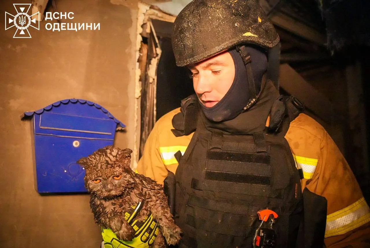 Two people were killed and 14 injured in Odessa following a night-time attack