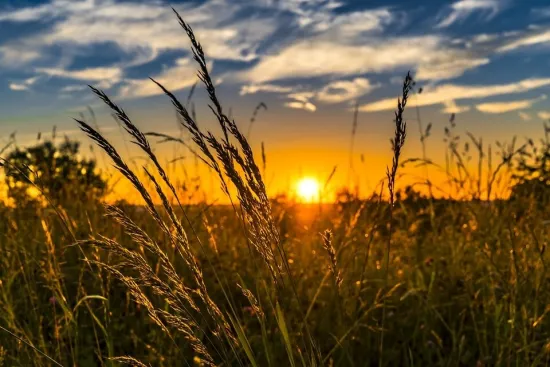 Weather forecast for Ukraine on Saturday, 25 April 2026