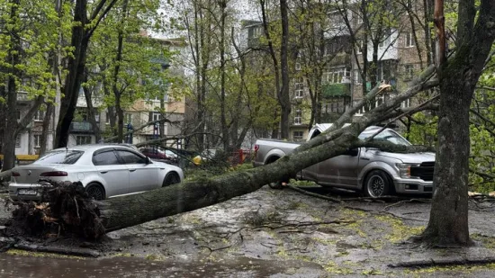 Негода в Україні триватиме: де чекати сніг, вітер і заморозки