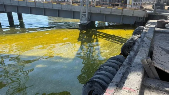 У порту Чорноморська після обстрілу зафіксували розлив соняшникової олії
