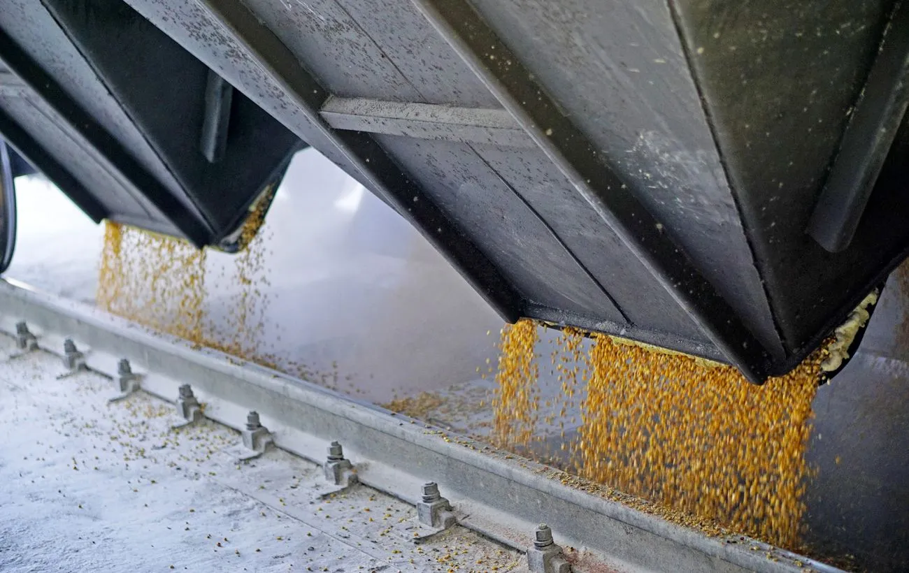An Israeli company has, for the first time, refused to unload a ship carrying stolen Ukrainian grain