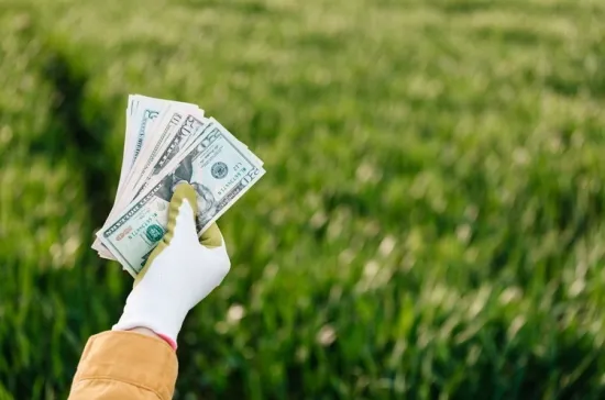 The government will pay farmers over 300 million hryvnias in compensation for the purchase of Ukrainian agricultural machinery