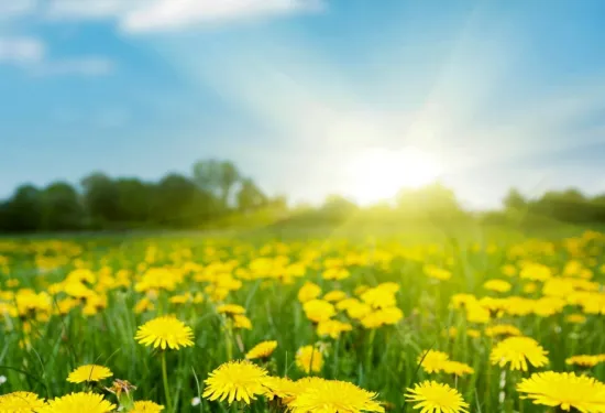 Temperatures will rise to +25°C, but there will be rain in places: what will the weather be like in Ukraine on 4 May?