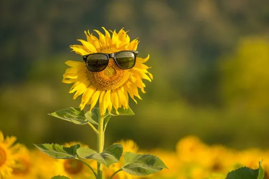 Should we brace ourselves for an extreme heatwave or not? What kind of weather can we expect in the summer of 2026?