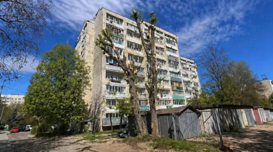 Staff at the Lviv District Administration have been given a reprimand over an AI-generated photo of tree pruning