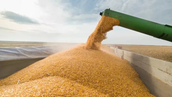 The Asomatos unloaded 26,900 tonnes of stolen Ukrainian wheat in Egypt