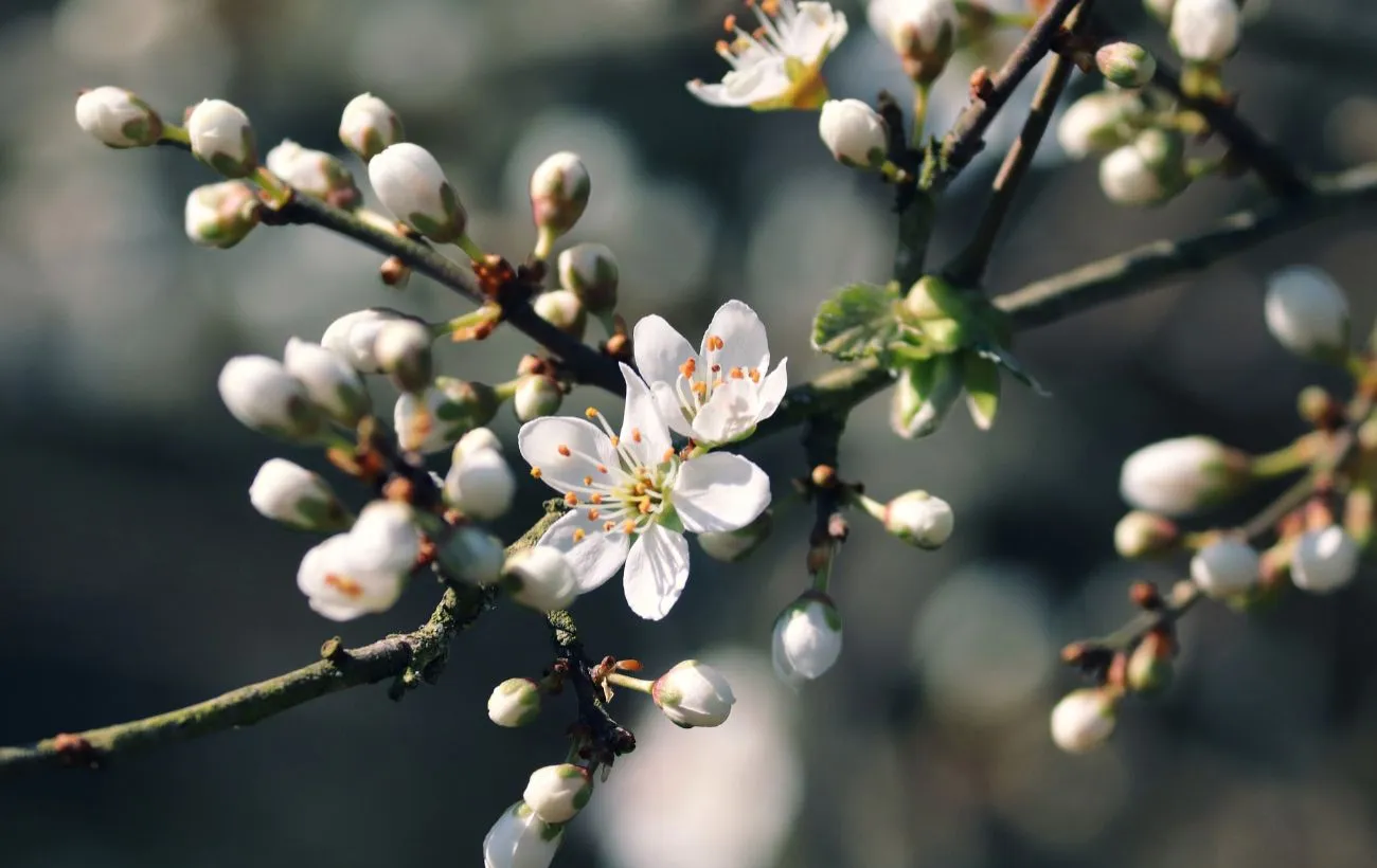 6 May 2026: what holiday is it today, traditions and taboos