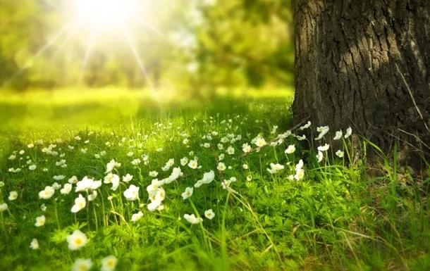 7 May 2026: What is today’s church holiday and what should not be done