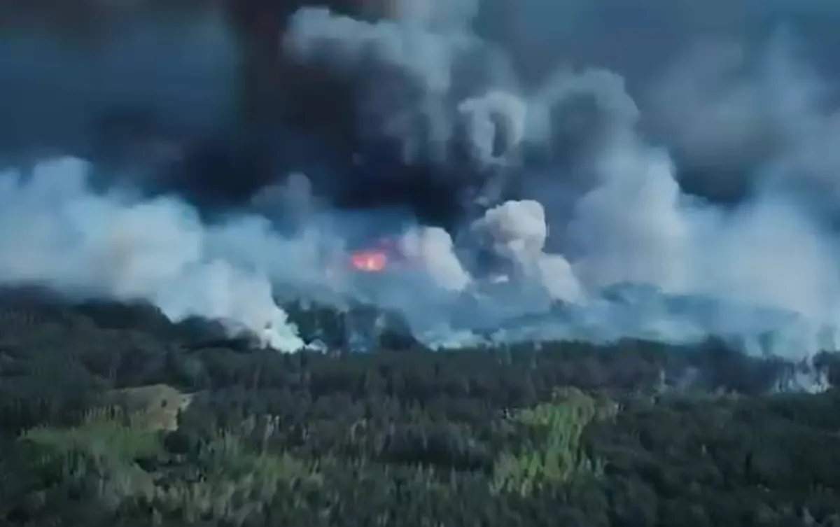 In the Chernihiv region, over 2,400 hectares of forest are on fire in the border area following shelling