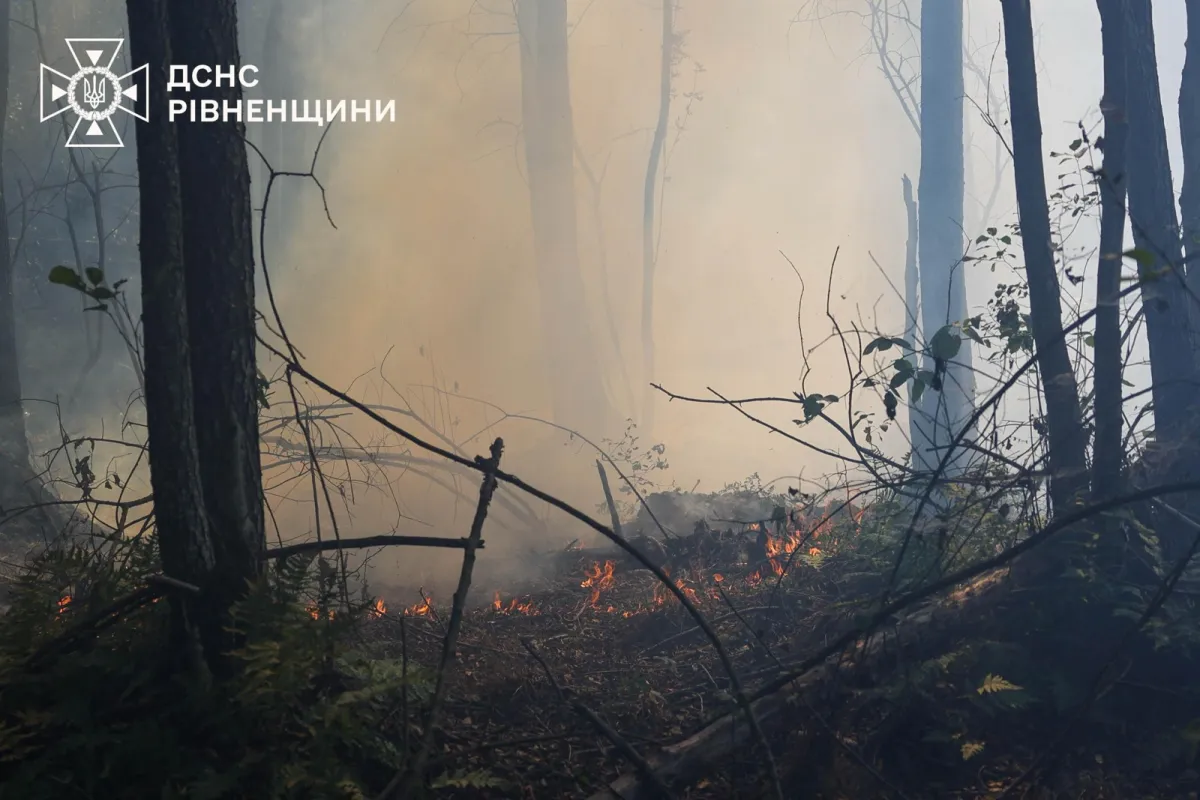 Рятувальники локалізували масштабні лісові пожежі на Закарпатті та Рівненщині 