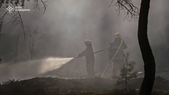 У Чорнобильській зоні відчуження палає понад 1100 гектарів лісу (ВІДЕО)