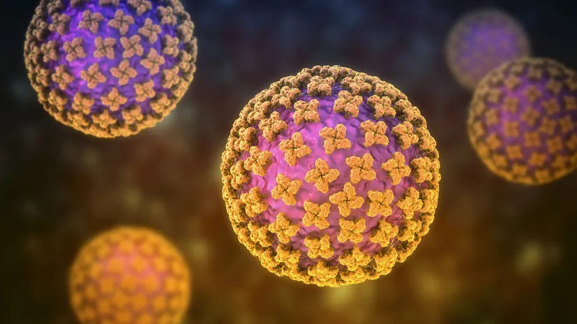 What is a hantavirus, what are the symptoms, and why is it dangerous?