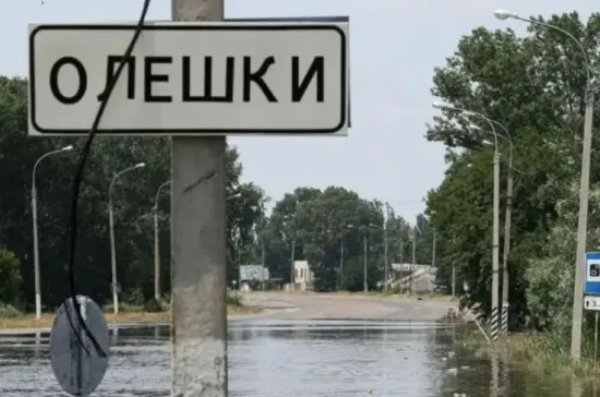 Червоний Хрест готовий допомогти з евакуацією з окупованих Олешок