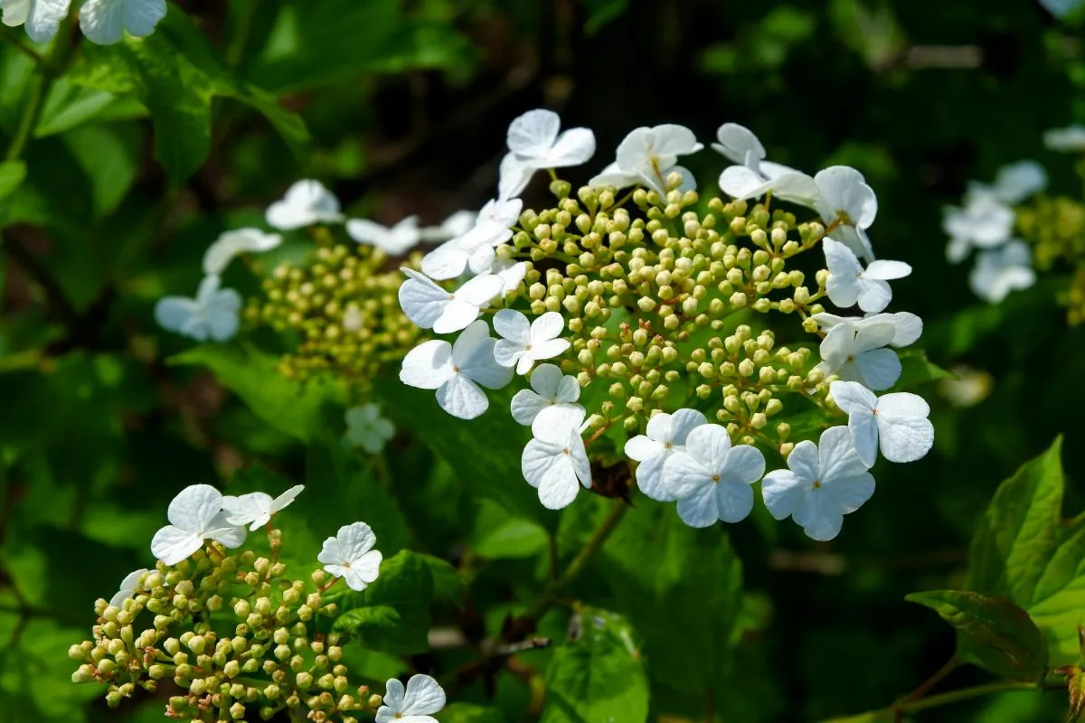 What religious holiday is celebrated on 9 May in Ukraine?