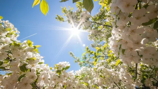 The weather in Ukraine on 9 May 2026