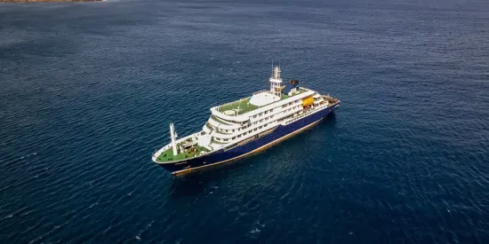 Hantavirus outbreak on cruise ship: EU prepares large-scale evacuation