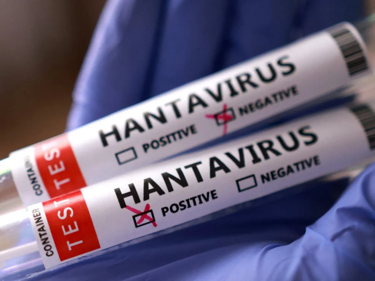 The hantavirus is getting closer: health surveillance has been put in place in Poland following contact with passengers on a cruise ship