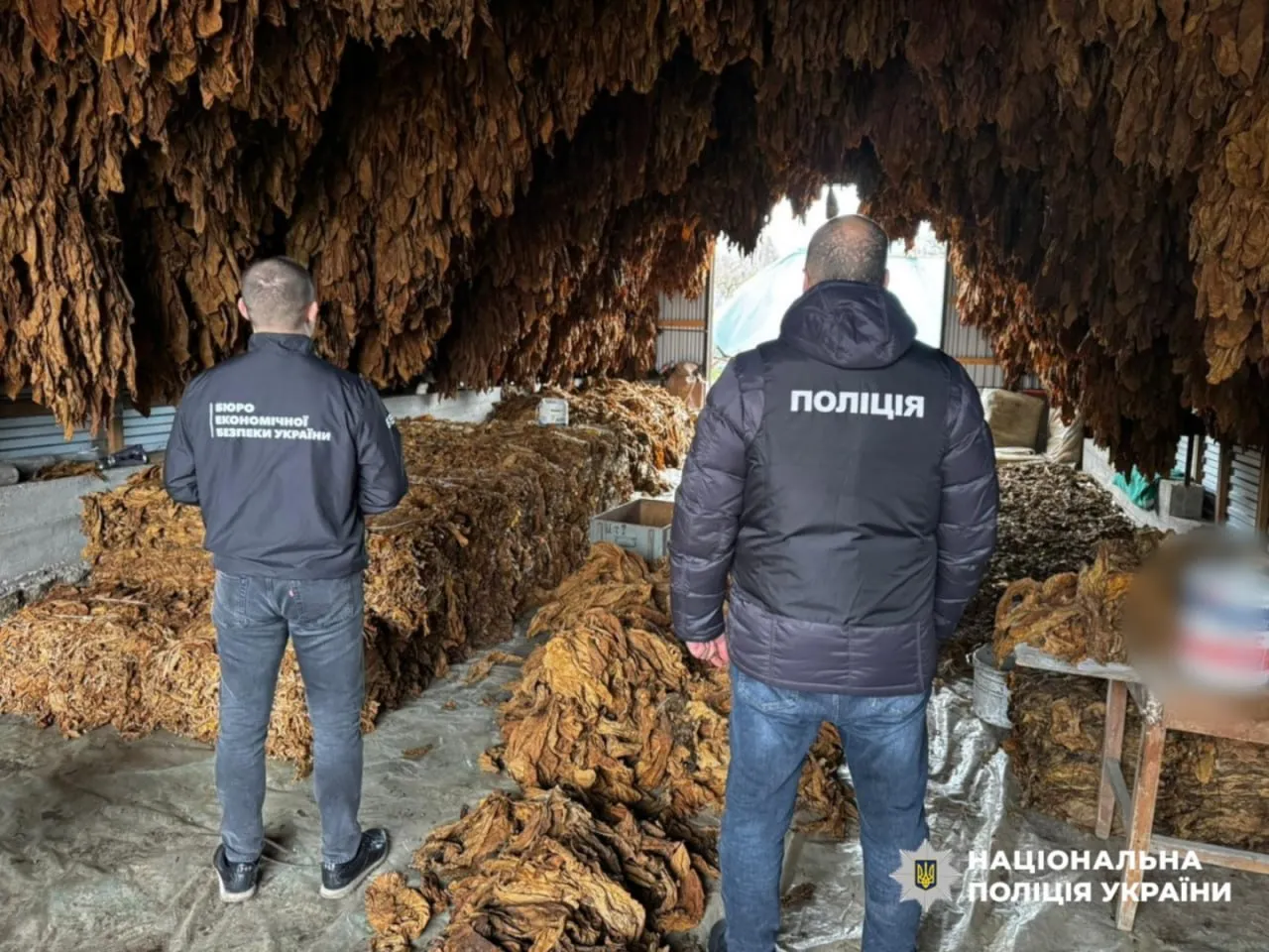 В Одесі та на Тернопільщині викрили підпільне виробництво тютюнової продукції, організатори отримали підозри