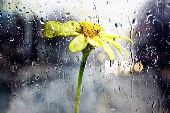Weather forecast for 14 May: which regions will see rain and where it will remain dry